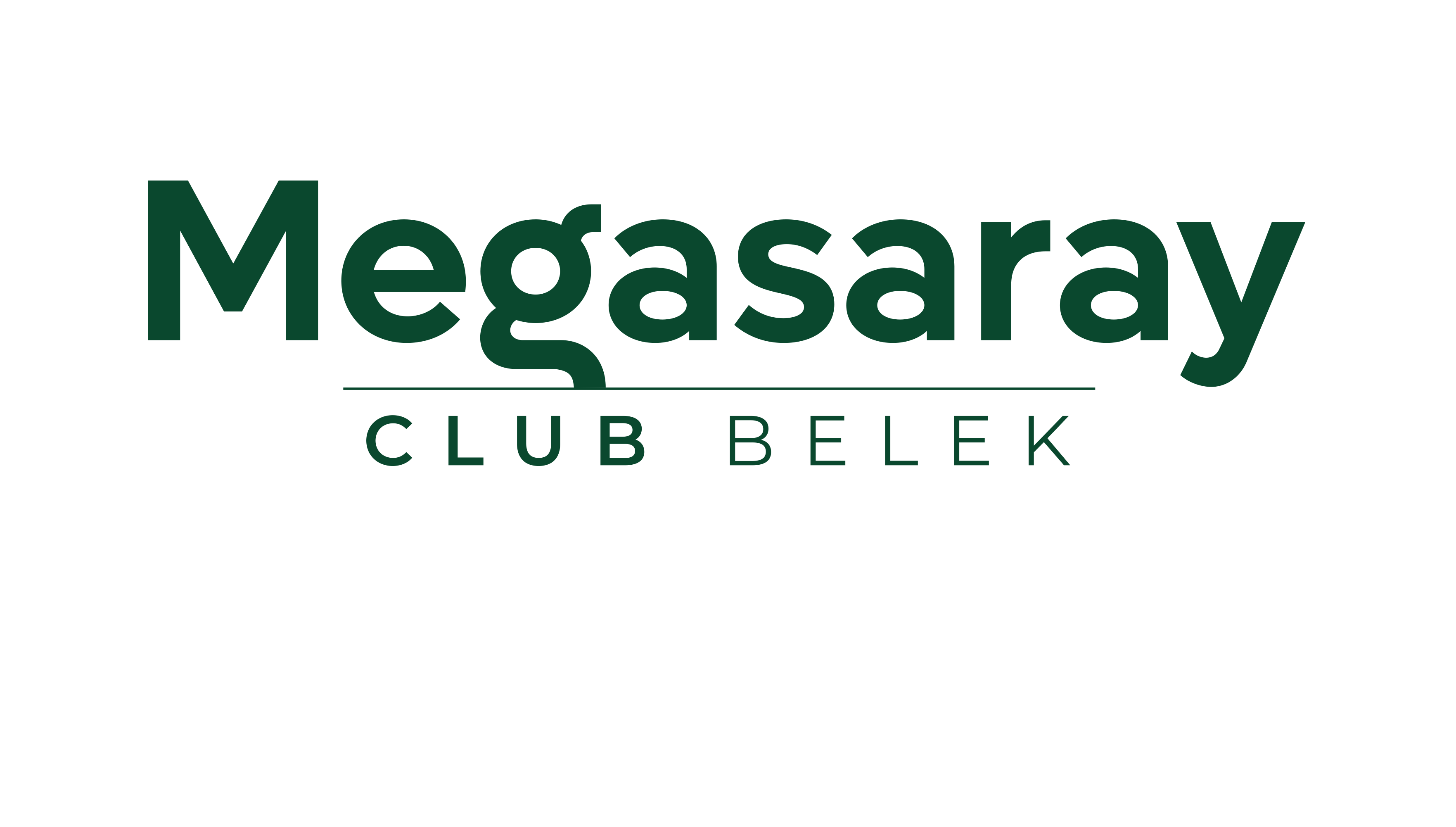 Mega Saray